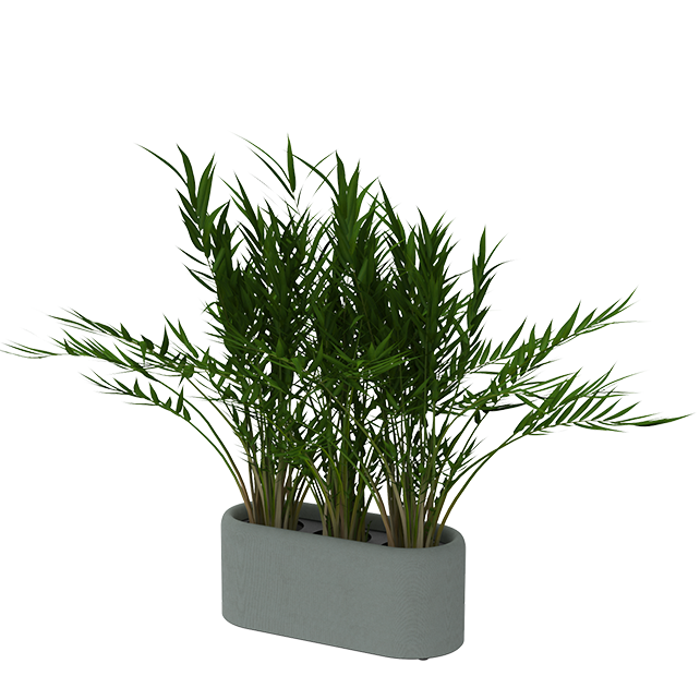 BuzziPlanter