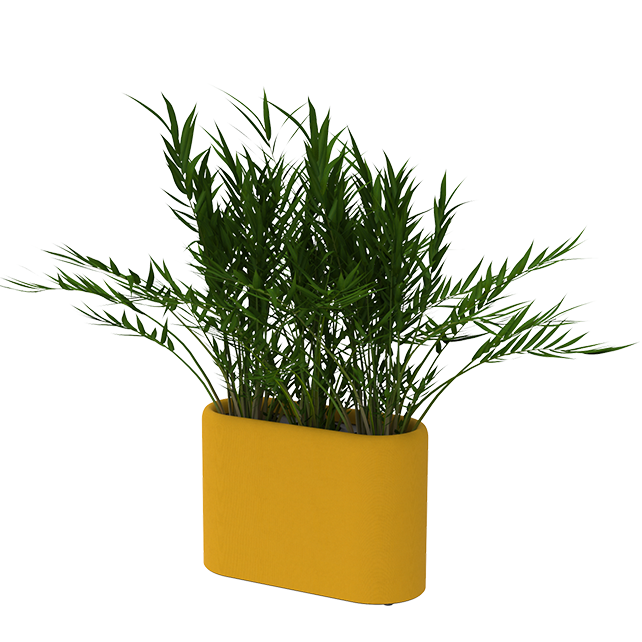 BuzziPlanter