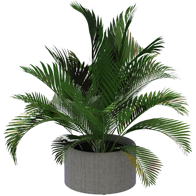 BuzziPlanter