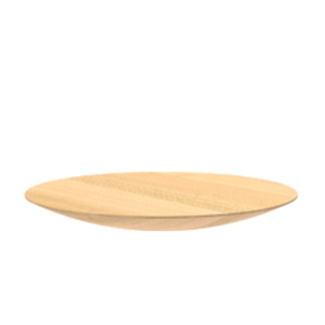BuzziBalance Board