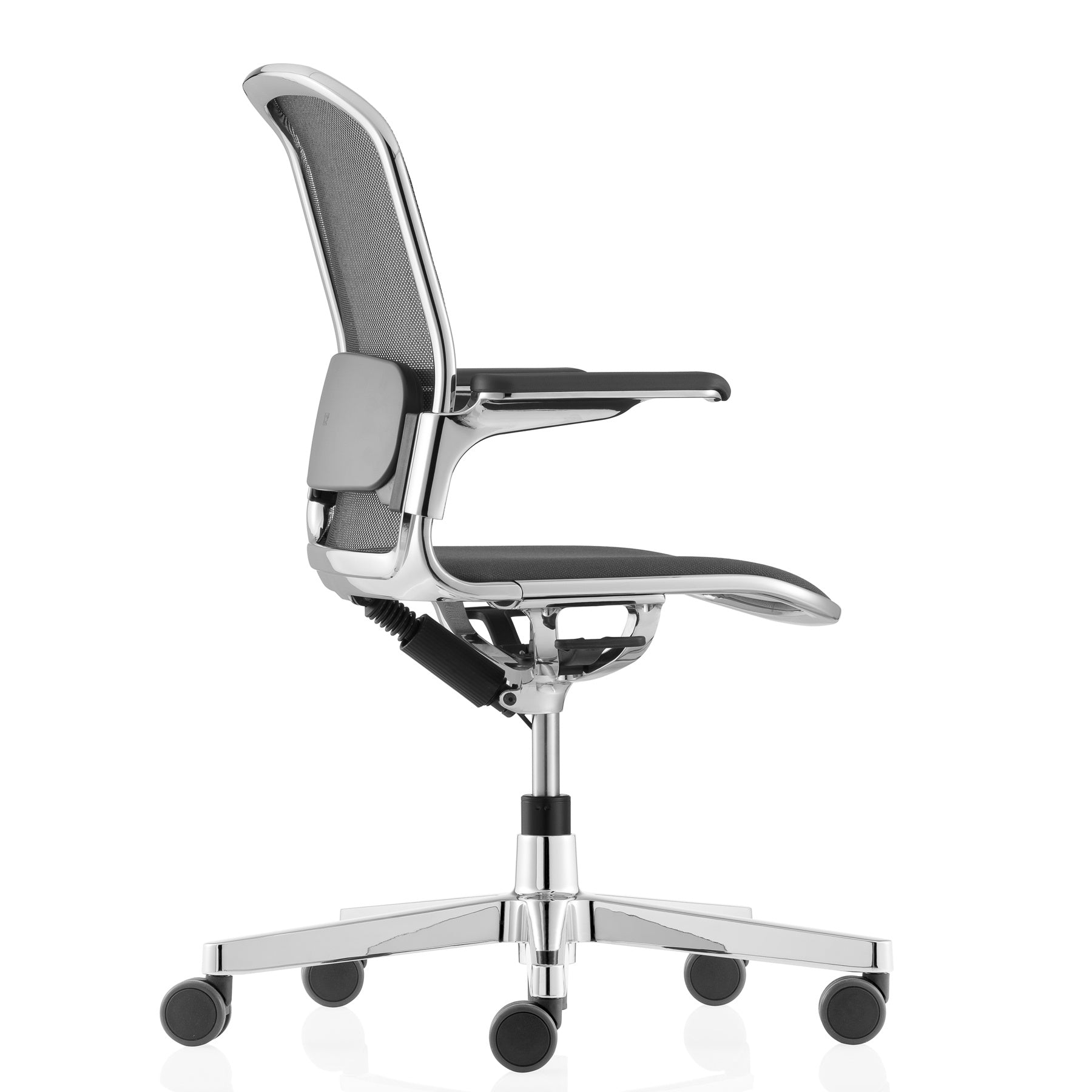 ICF Cloud Chair