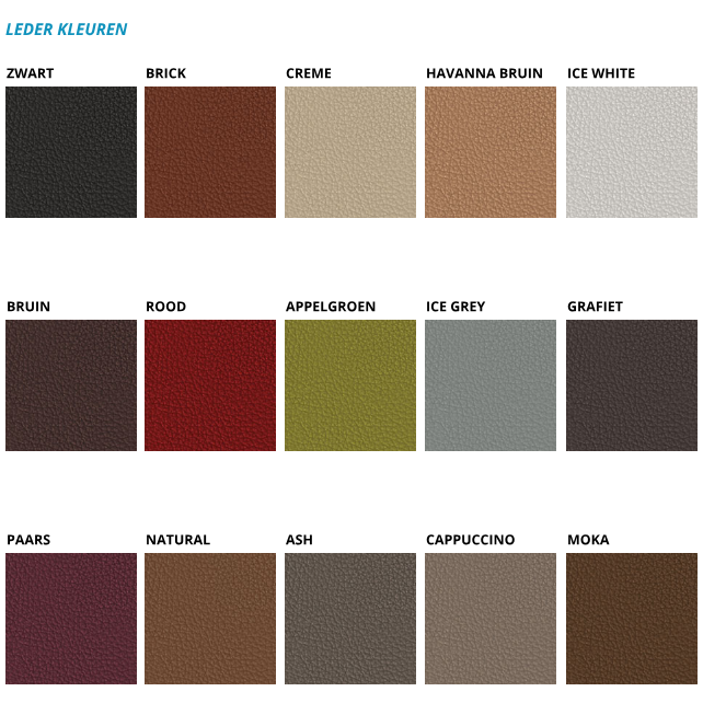 ICF Una Chair Executive