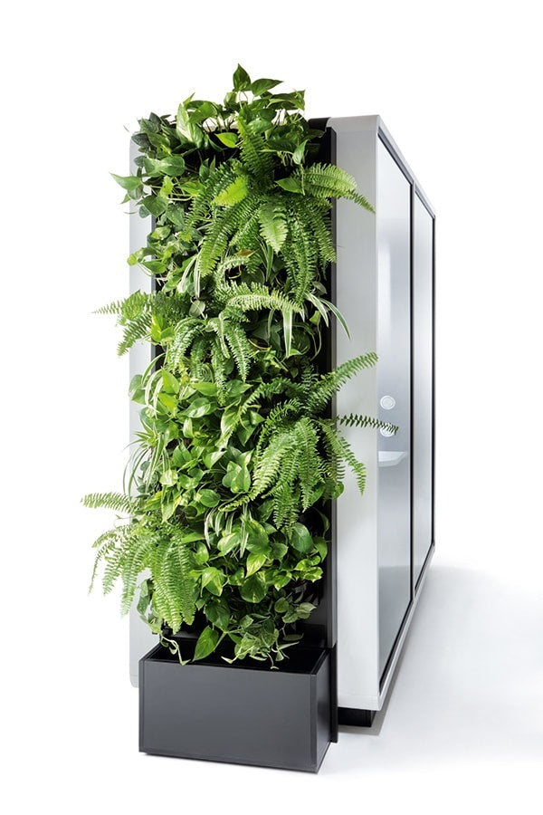 Mikomax Green wall