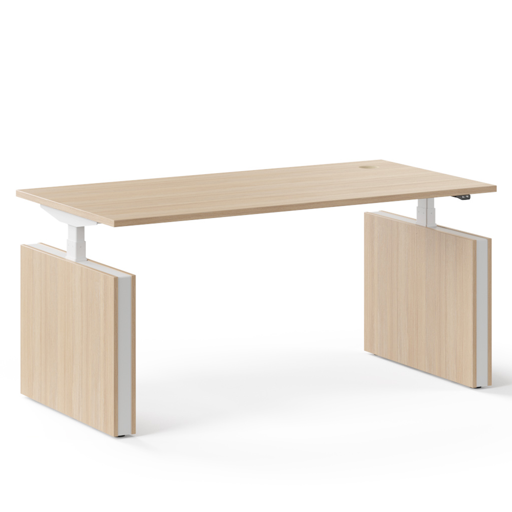 Elektrisch zit-sta bureau Motion